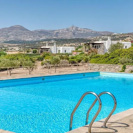 Joyfull With Shared Pool פארוס